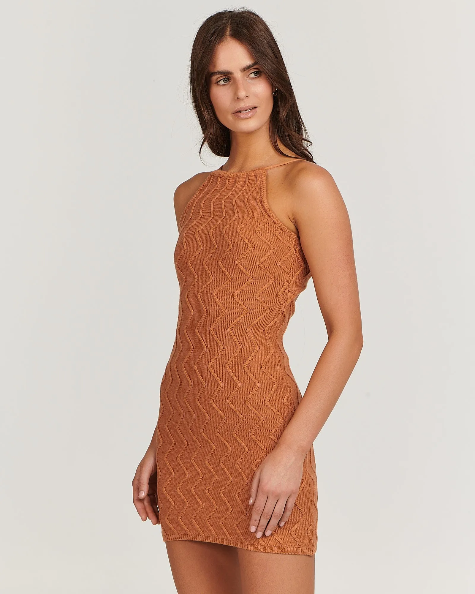 Alexis Mini Dress Caramel
