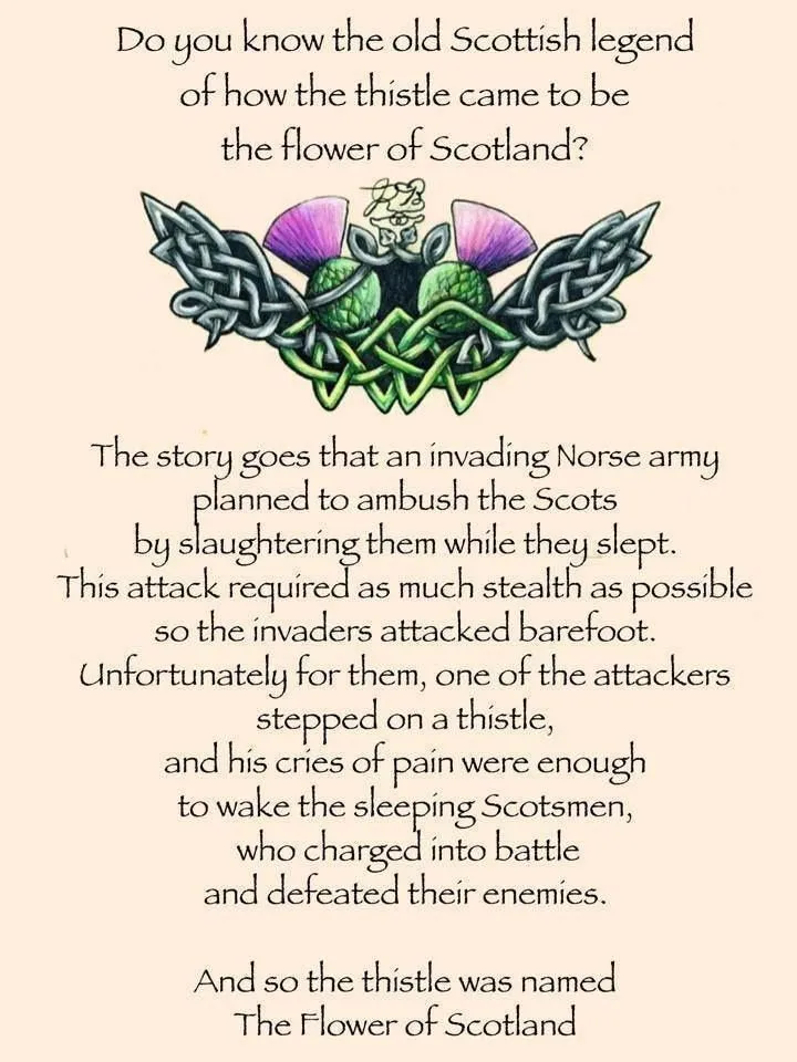 Euan Thistle Sprig Kilt Pin