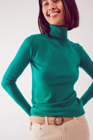 Fine knit high neck jumper in green