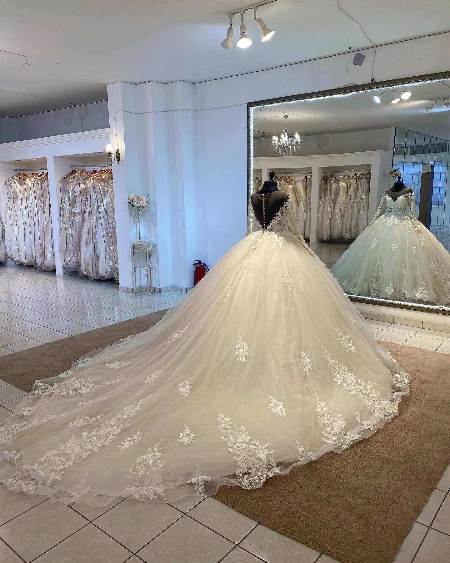 Gorgeous Wedding Dress Full Sleeves Appliques Lace Tulle Ball Gown Wedding Gowns 2023 Long Train
