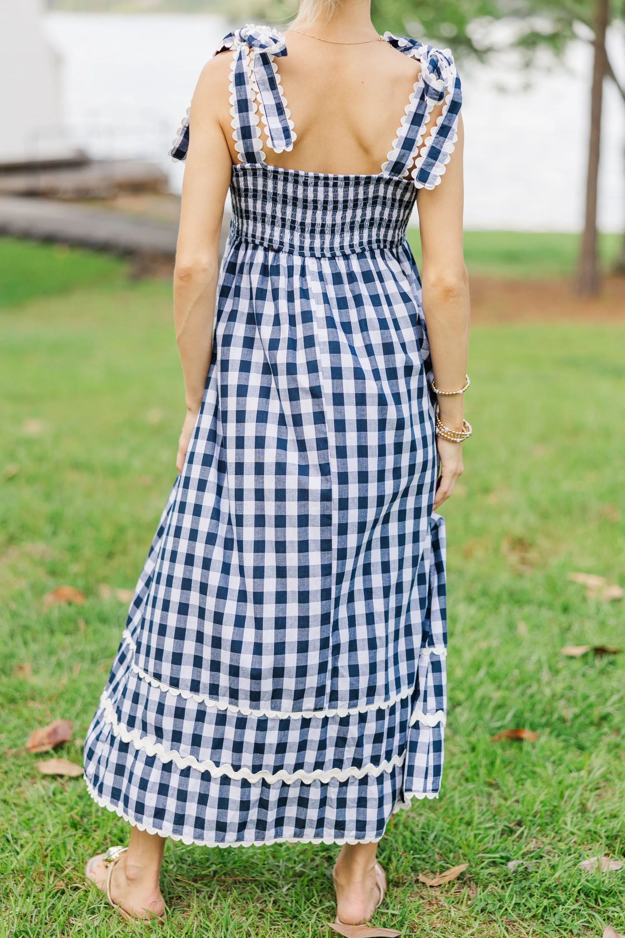 Have A Picnic Blue Gingham Dress