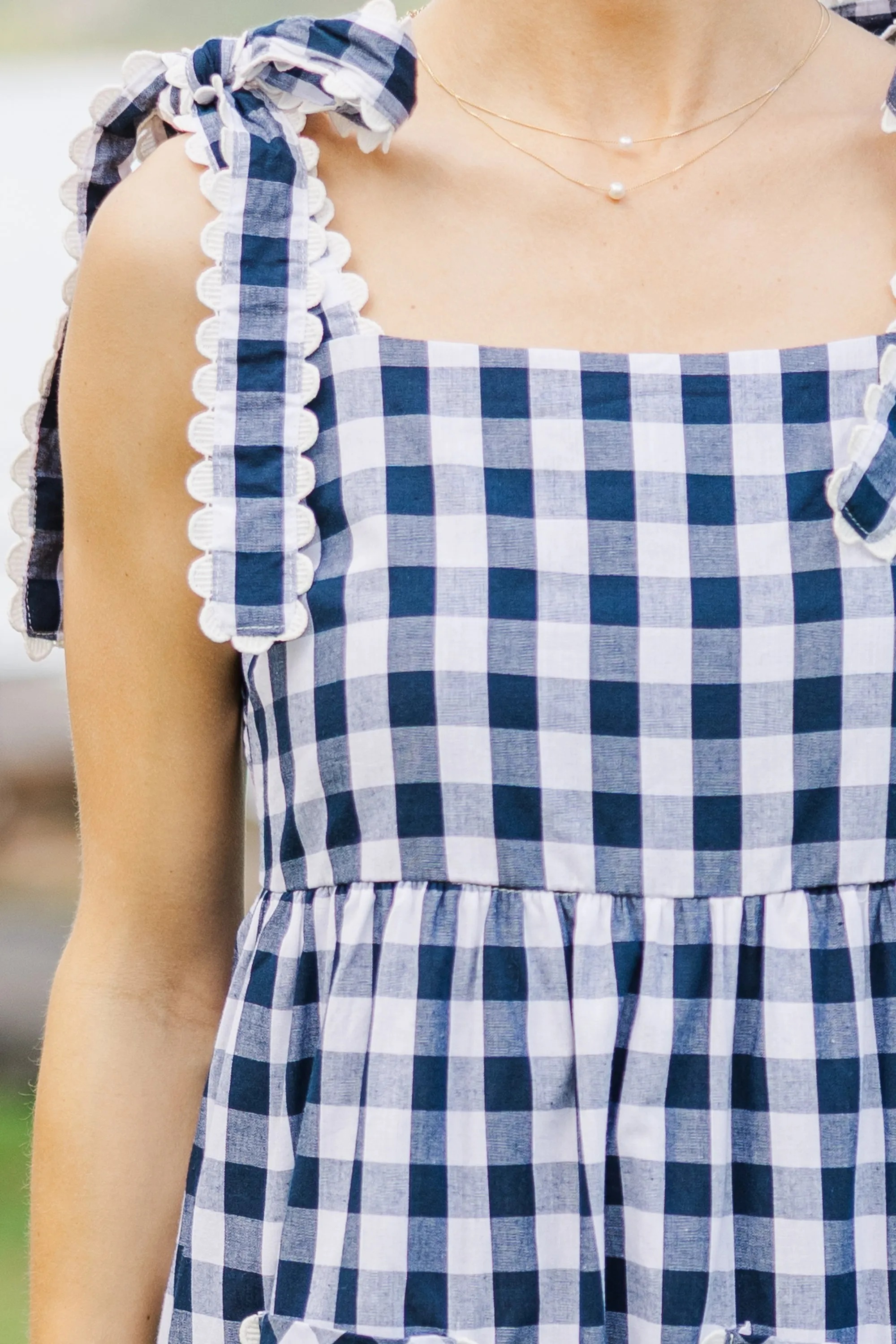 Have A Picnic Blue Gingham Dress