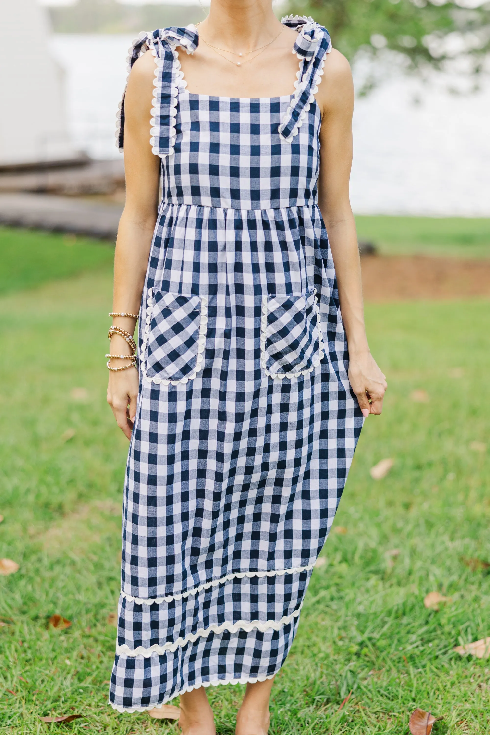 Have A Picnic Blue Gingham Dress