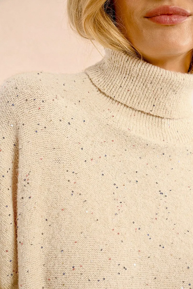 LOOSE SEQUINNED SWEATER