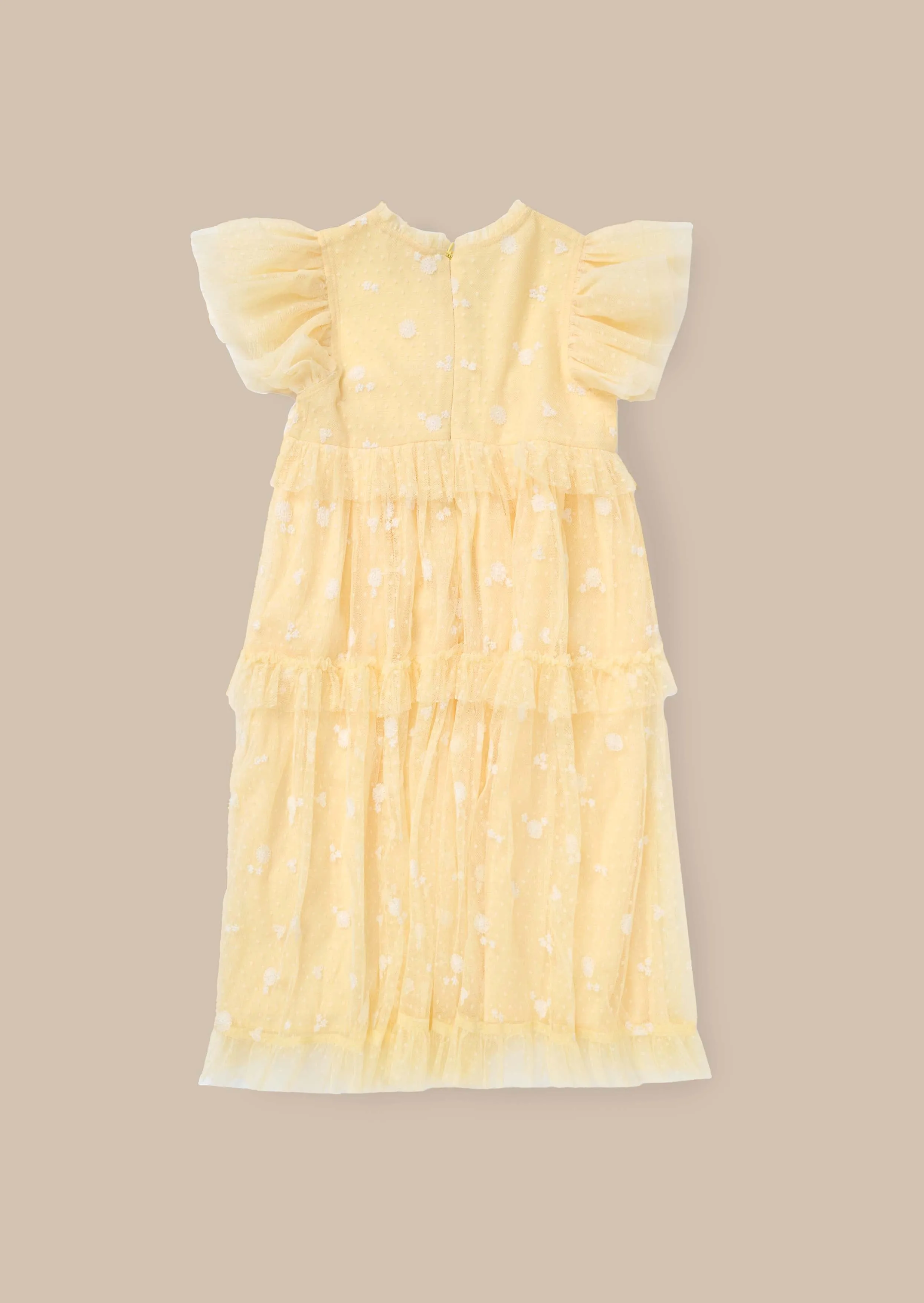 Luisa Sunshine Embroidered Mesh Dress
