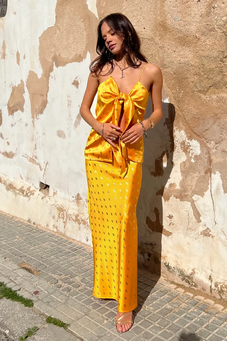Sunshine Mason Tie Front Top