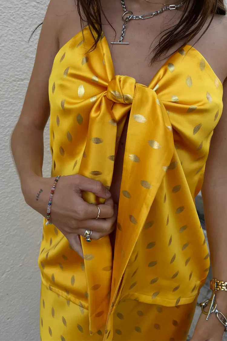 Sunshine Mason Tie Front Top