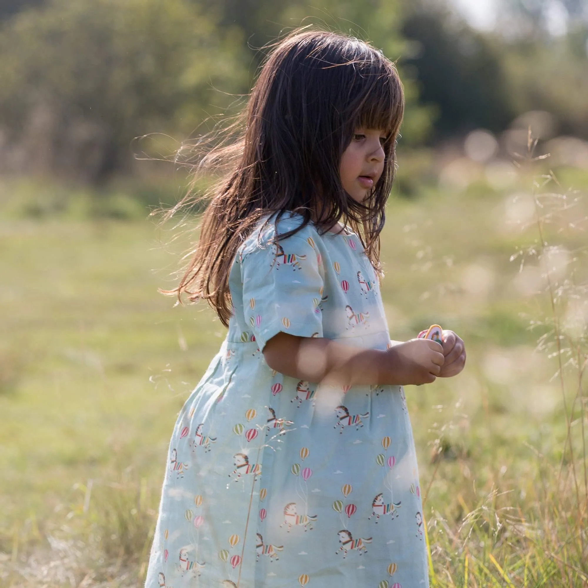 Wild Horses Summer Days Dress