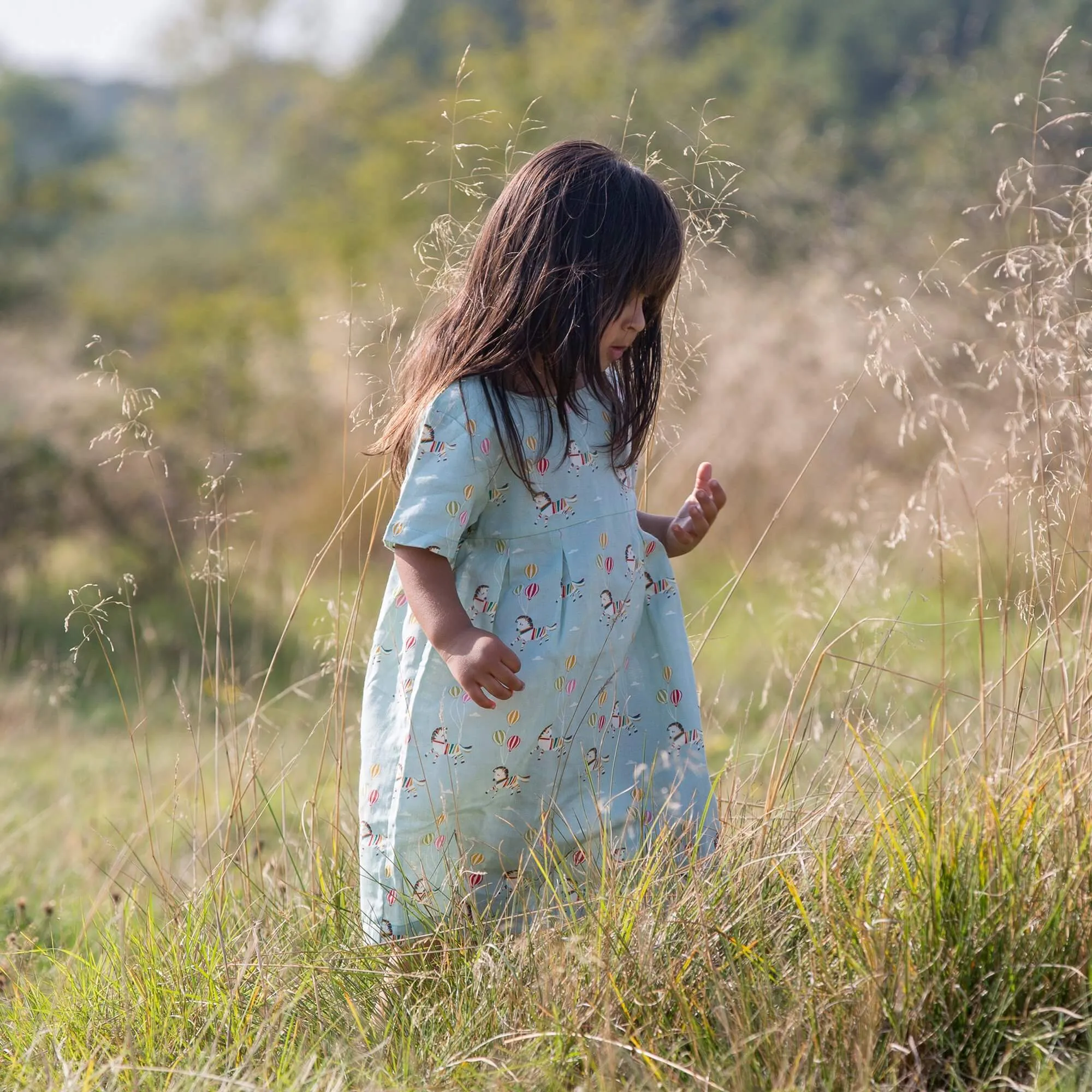 Wild Horses Summer Days Dress