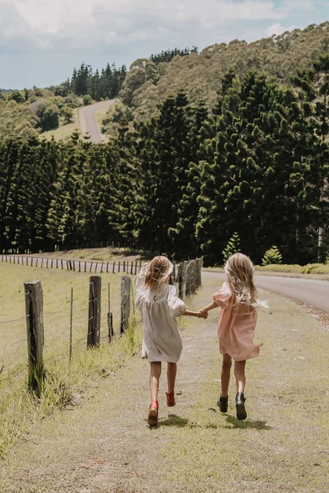 Willow dress | blush